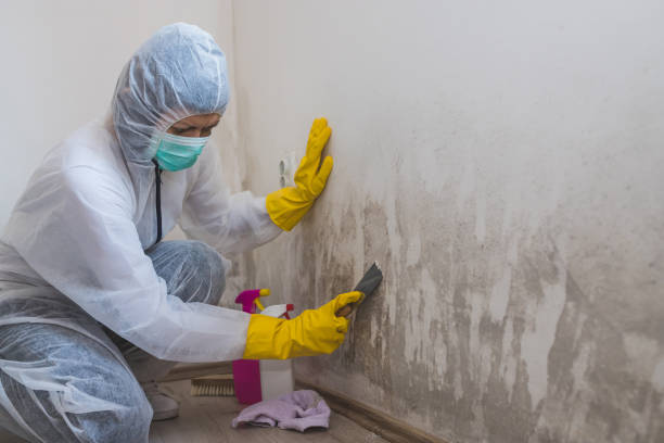 Best Mold Odor Removal Services  in Lennox, SD