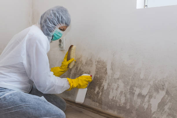 Best Commercial Mold Inspection  in Lennox, SD