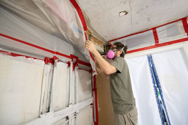Best Black Mold Removal  in Lennox, SD