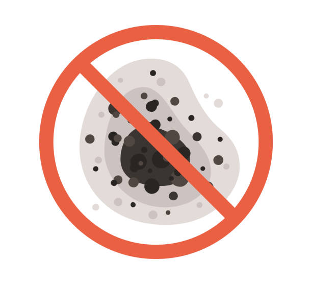 Biohazard Mold Removal in Lennox, SD