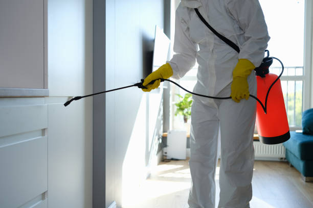 Mold Removal for HVAC Installations in Lennox, SD