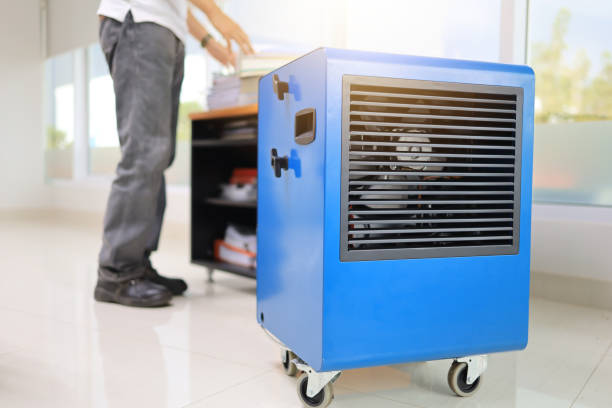 Best Mold Removal for HVAC Installations  in Lennox, SD