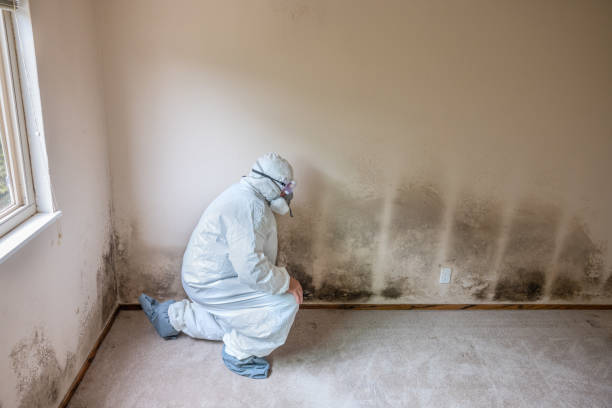 Best Real Estate Mold Inspection  in Lennox, SD